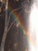rainbow04